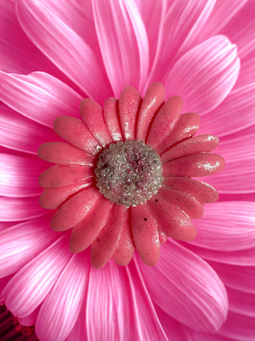 Daisy wax melt shapes